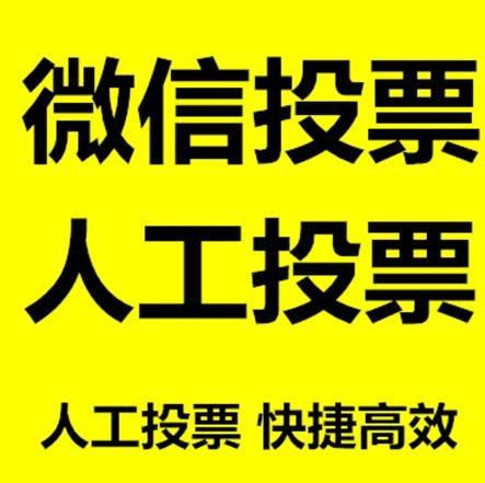 玉林市投票活动拉票能被查出来吗？如何操作能不被发现？